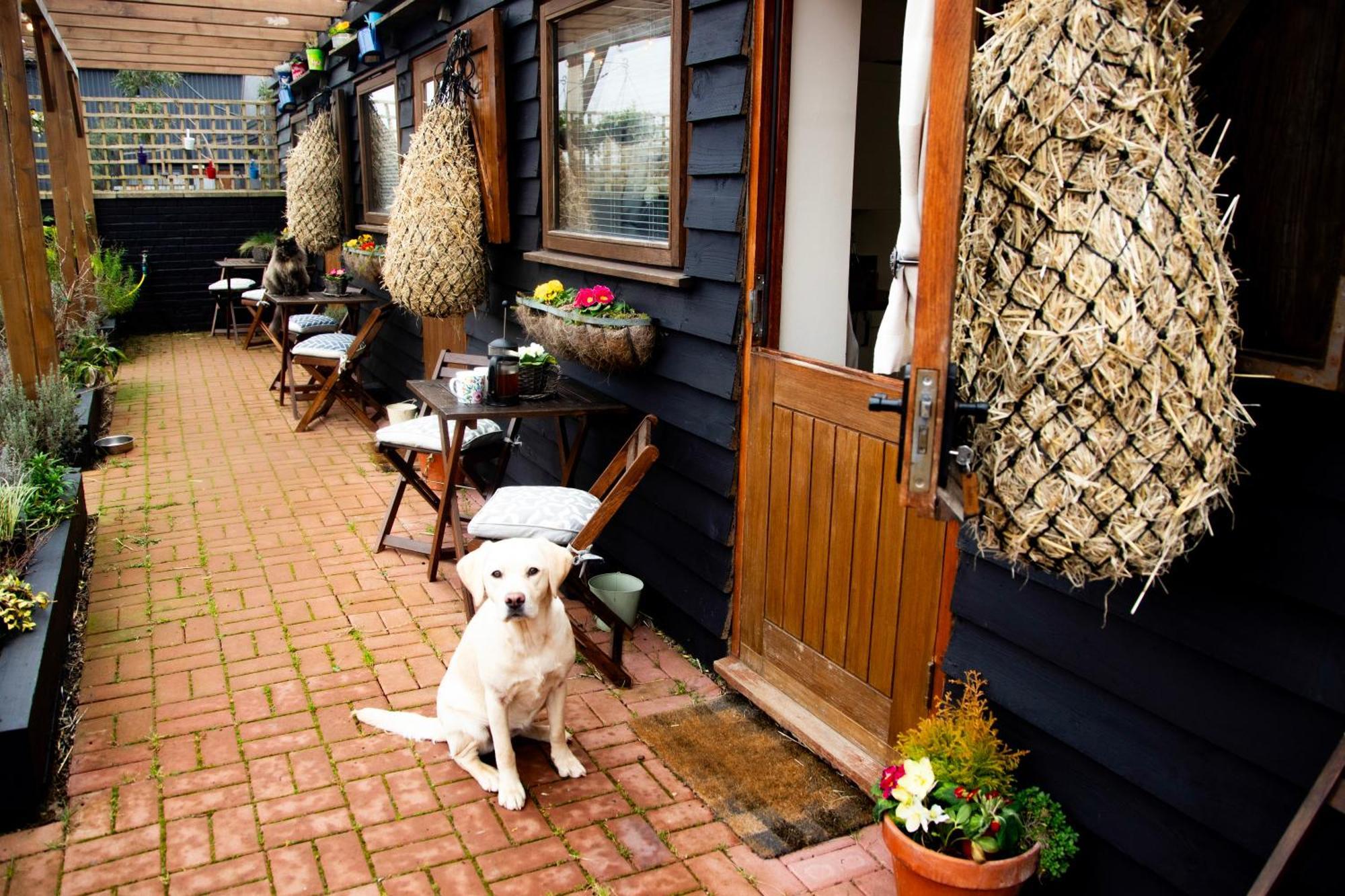 Norfolk Accommodation 히챔 외부 사진